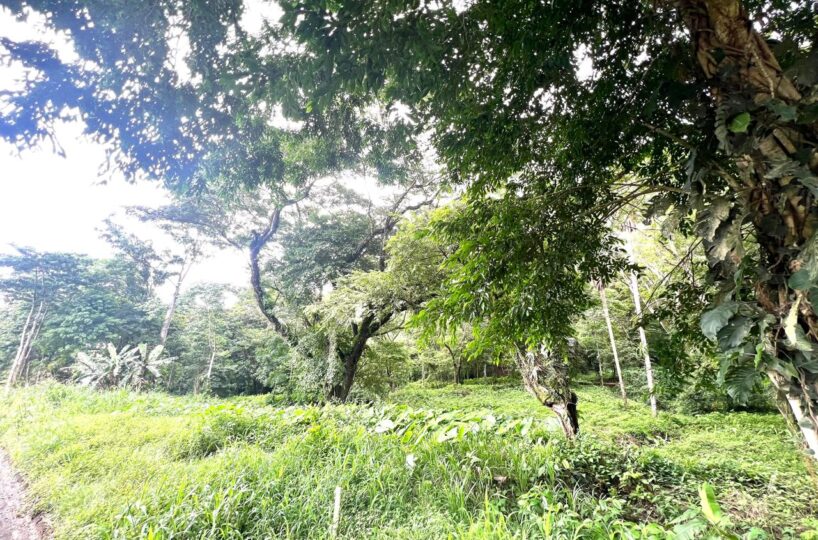 Building Lots for sale in Punta Leona Costa Rica