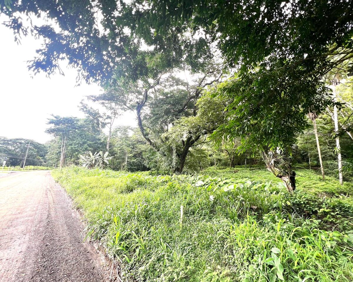 Building Lots for sale in Punta Leona Costa Rica