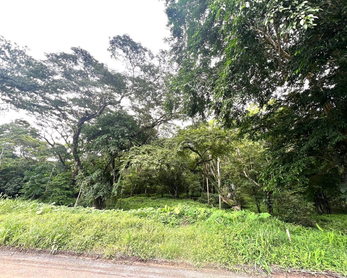 Building Lots for sale in Punta Leona Costa Rica