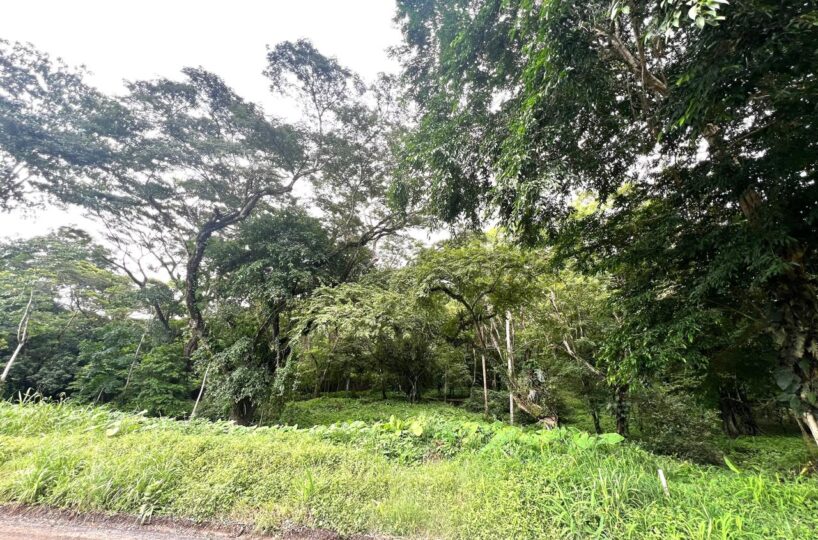Building Lots for sale in Punta Leona Costa Rica