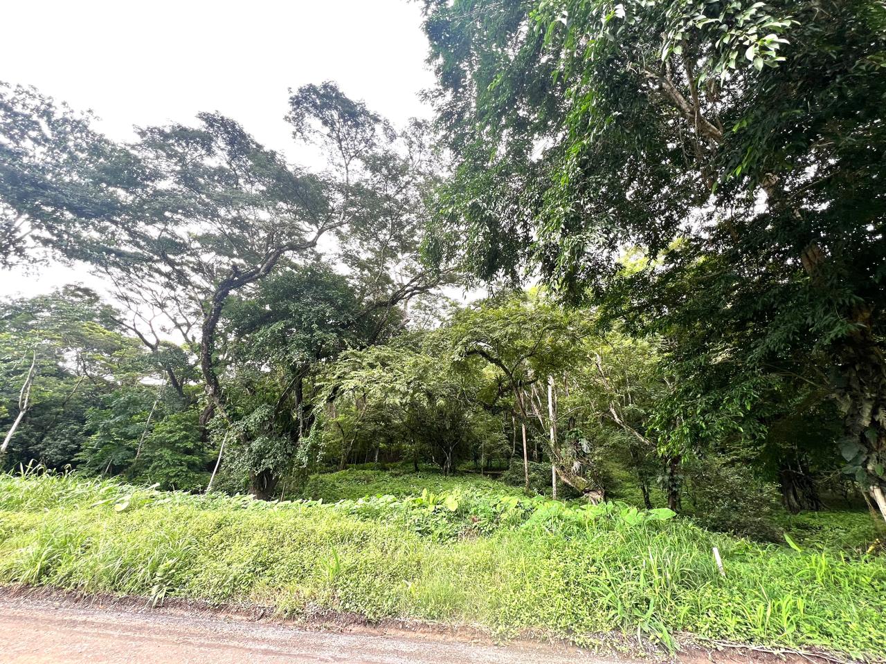 Building Lots for sale in Punta Leona Costa Rica