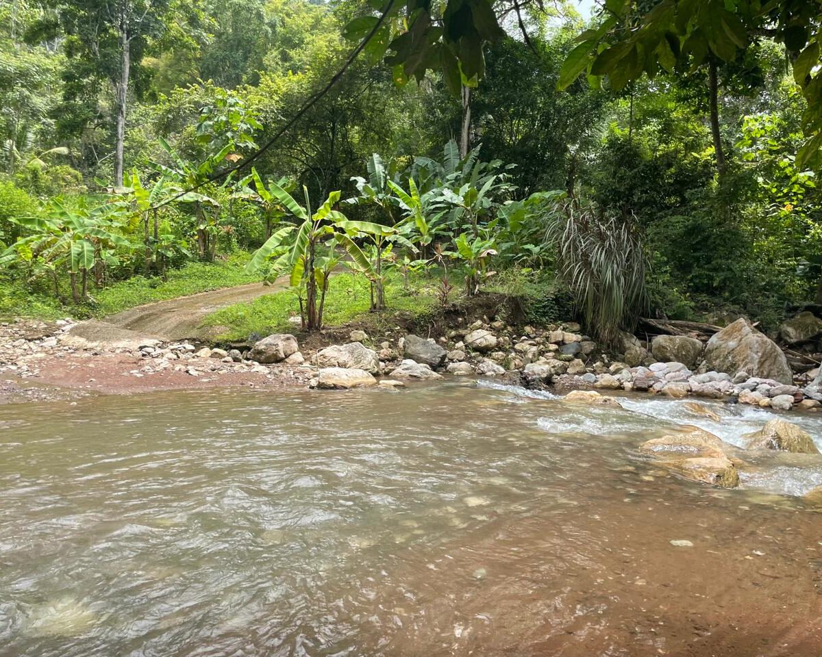 Homes for sale in Hermosa Beach Costa Rica