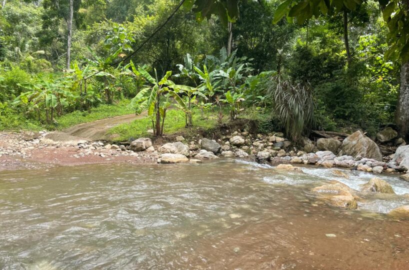 Homes for sale in Hermosa Beach Costa Rica