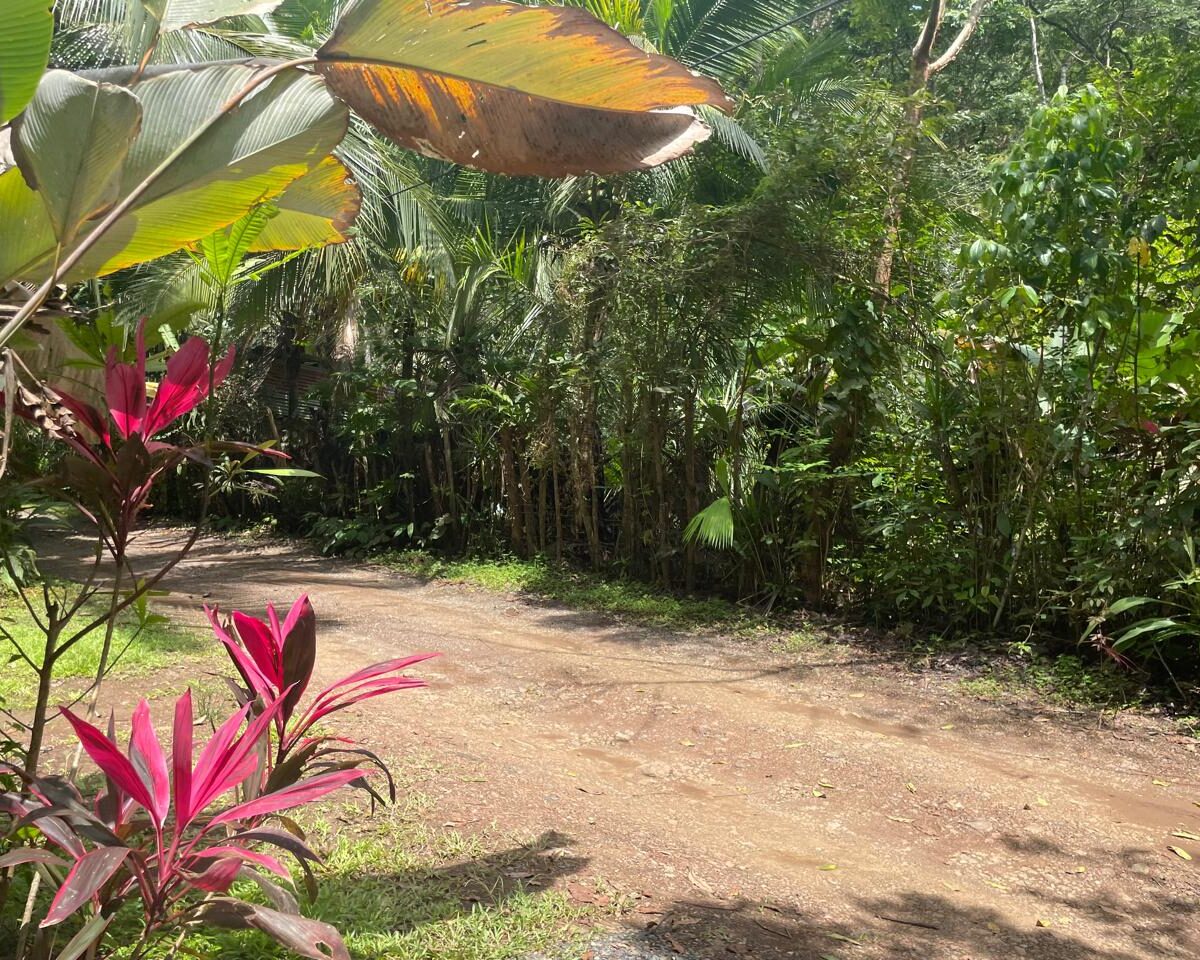 Homes for sale in Hermosa Beach Costa Rica