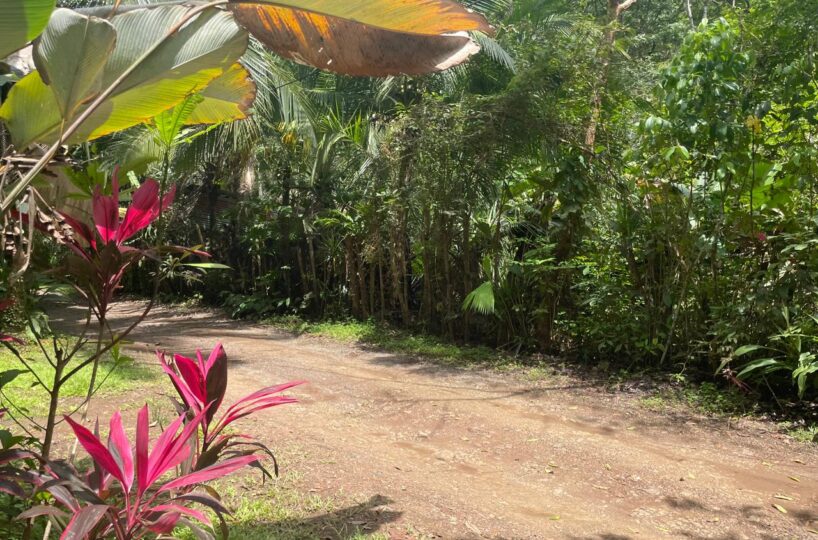 Homes for sale in Hermosa Beach Costa Rica