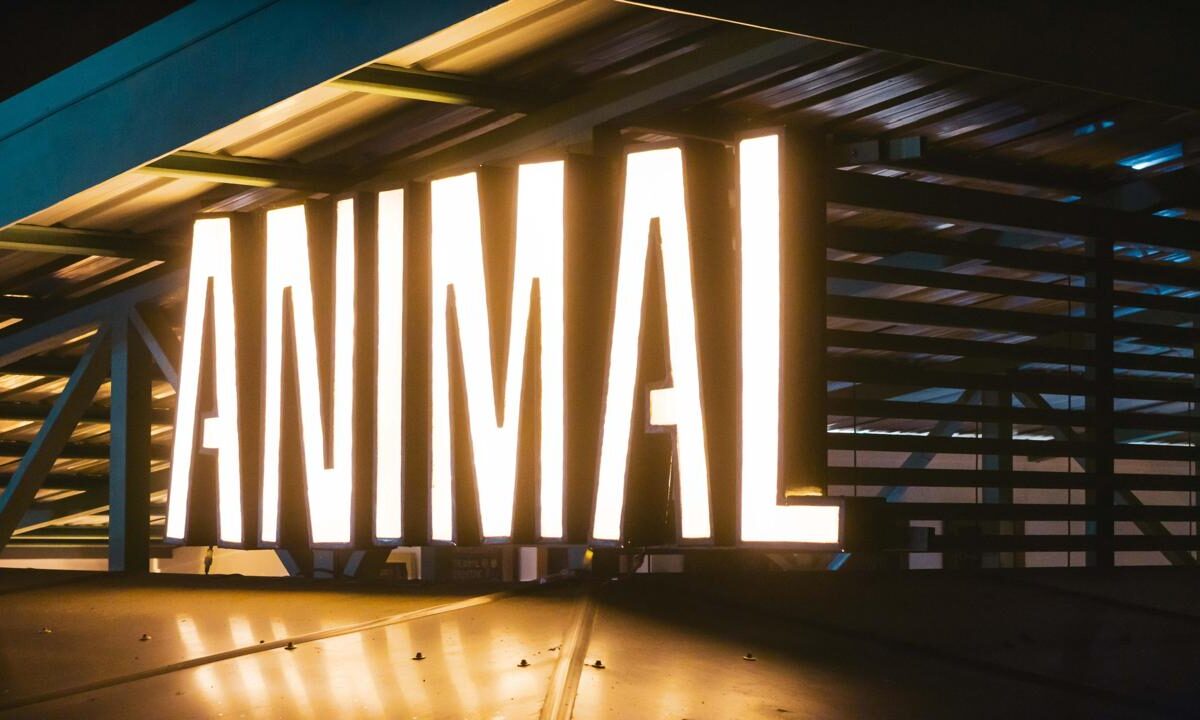 Commercial for sale in Hermosa Beach Costa Rica