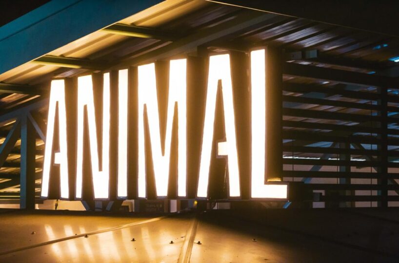 Commercial for sale in Hermosa Beach Costa Rica