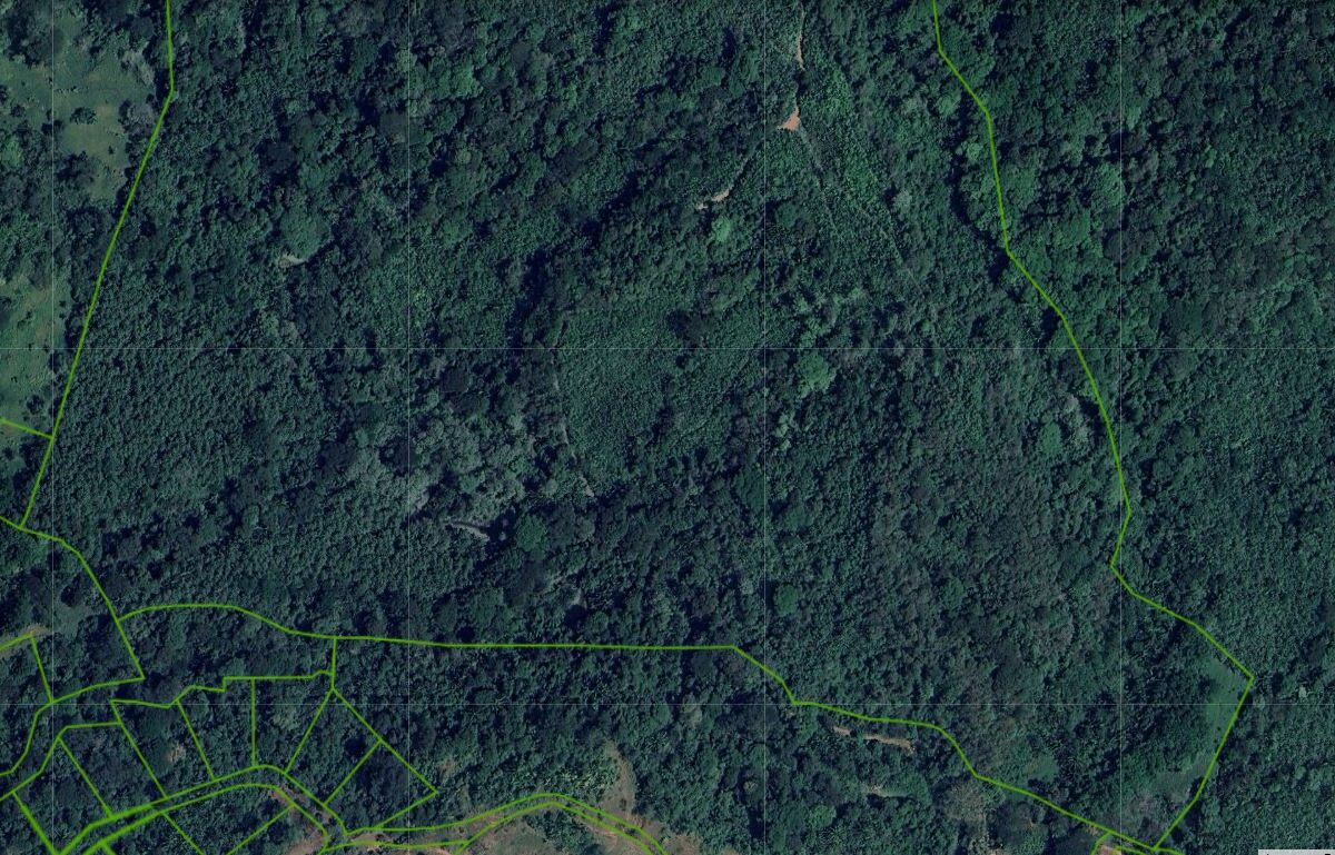 Farms and Ranches for sale in Parrita Costa Rica