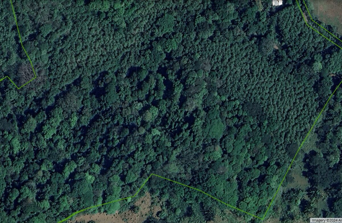 Farms and Ranches for sale in Parrita Costa Rica