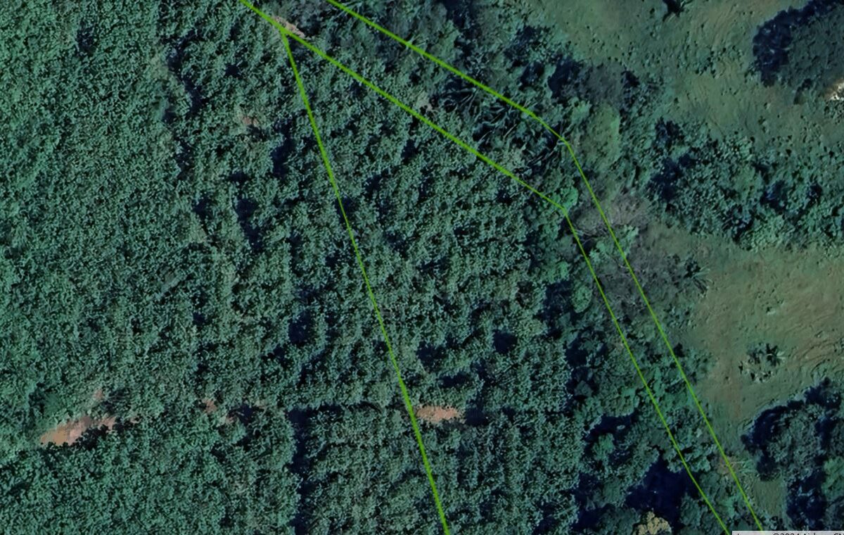 Farms and Ranches for sale in Parrita Costa Rica