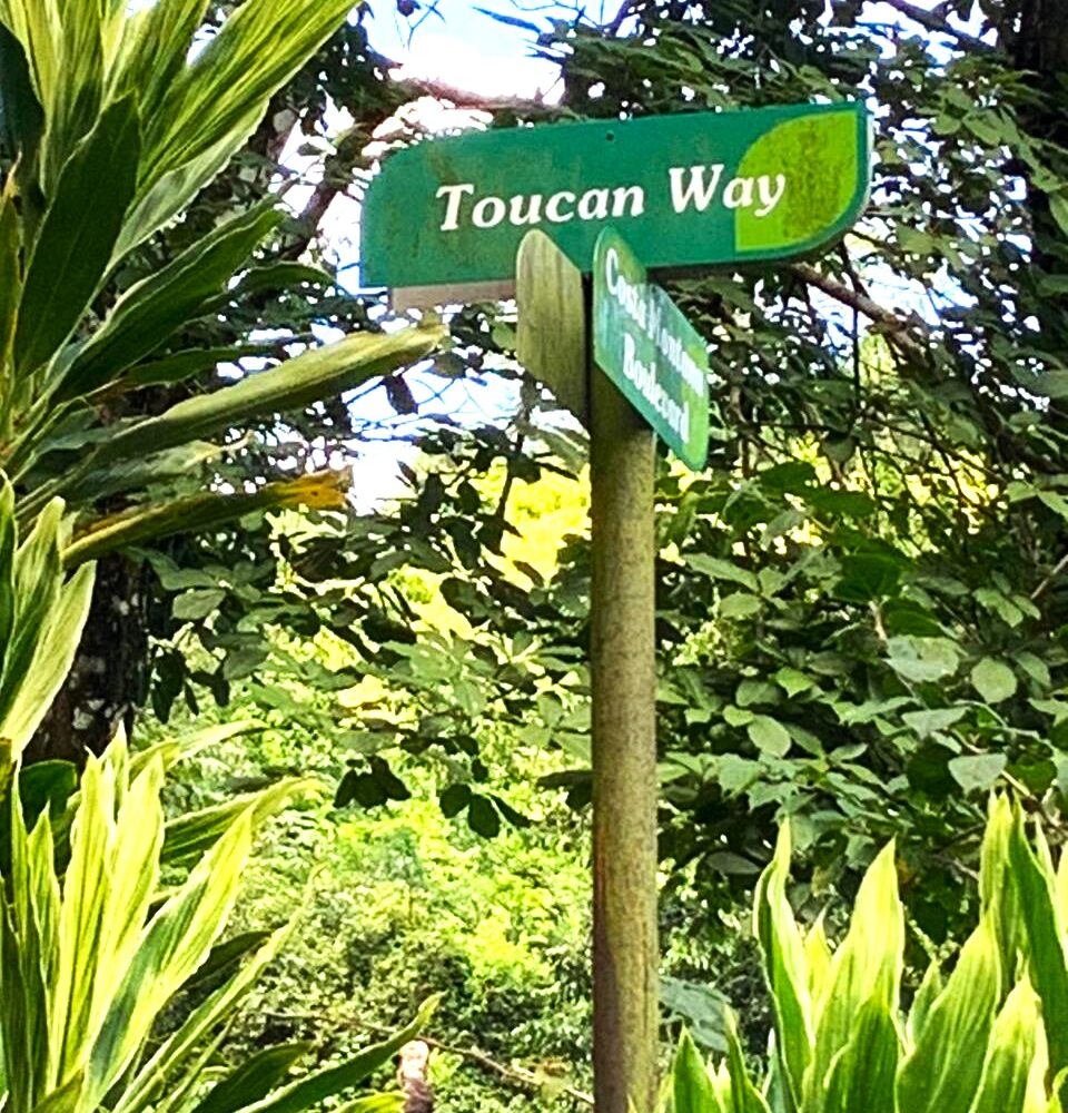 Building Lots for sale in Tarcoles Costa Rica