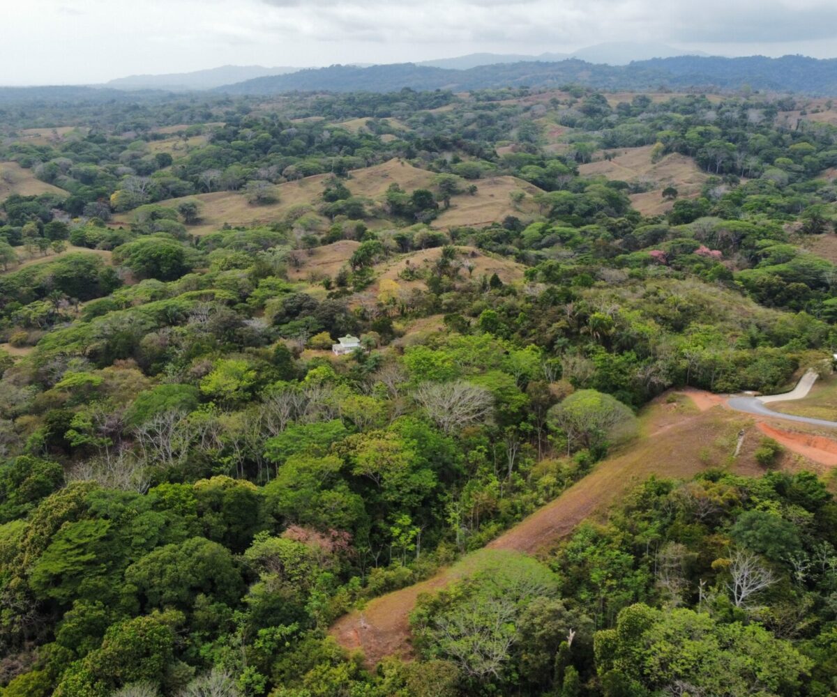 Development LandFarms and Ranches for sale in Esterillos Costa Rica