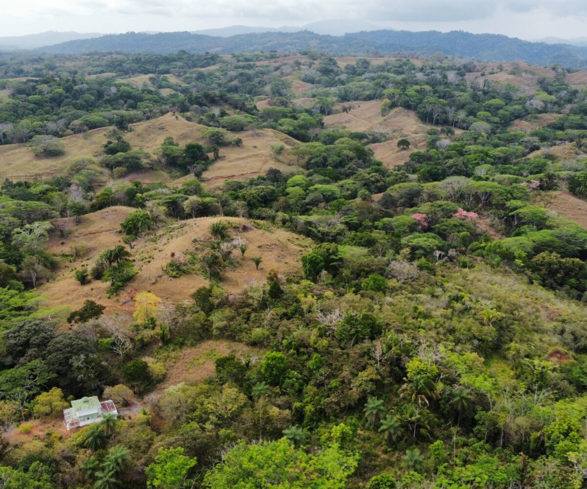 Development LandFarms and Ranches for sale in Esterillos Costa Rica