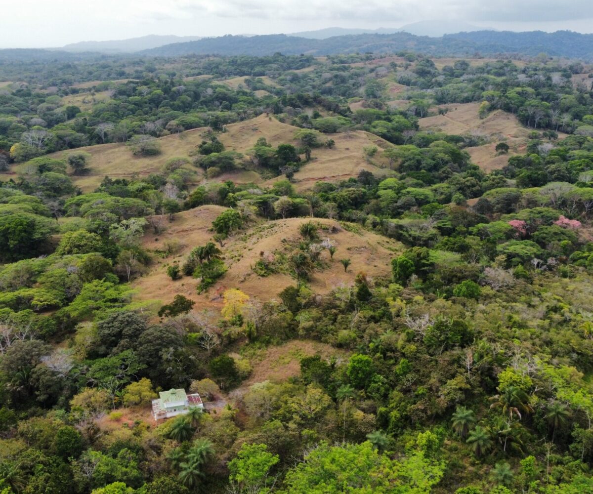 Development LandFarms and Ranches for sale in Esterillos Costa Rica