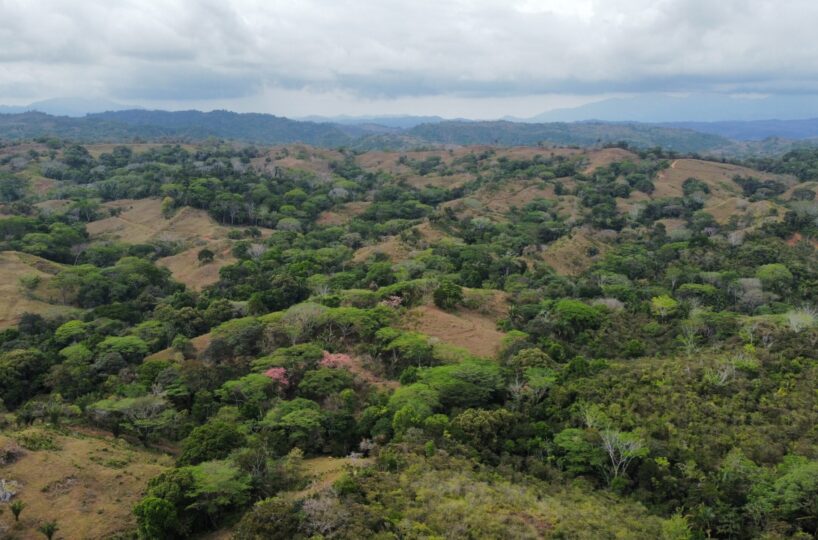 Development LandFarms and Ranches for sale in Esterillos Costa Rica