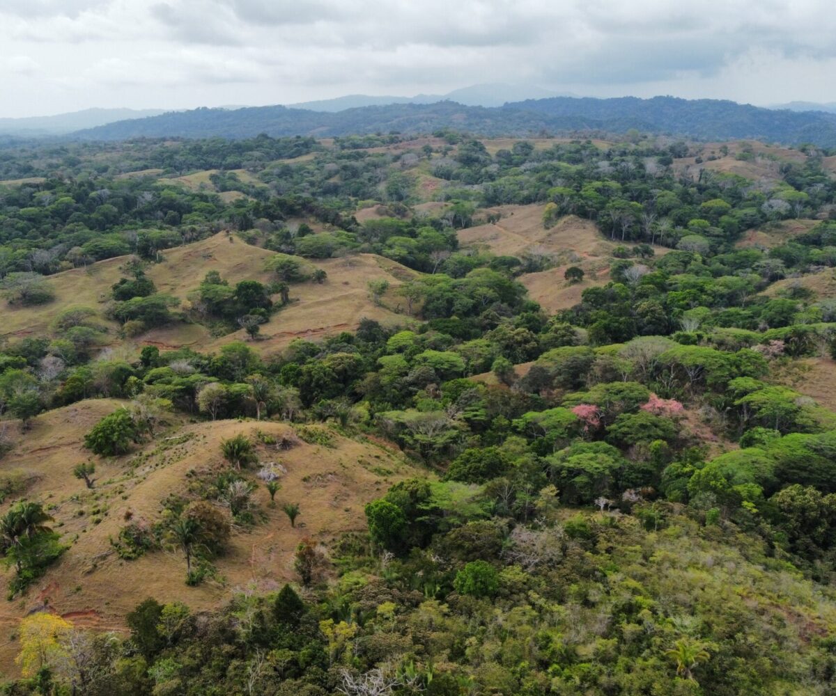 Development LandFarms and Ranches for sale in Esterillos Costa Rica