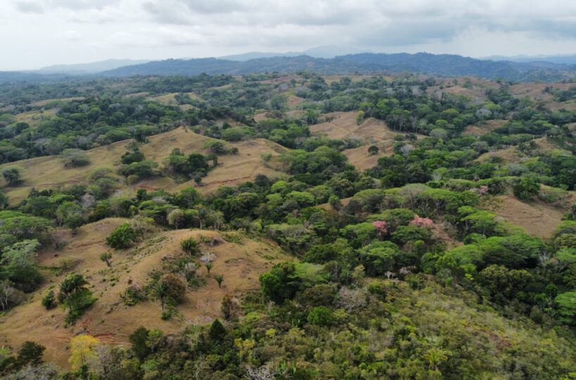 Development LandFarms and Ranches for sale in Esterillos Costa Rica