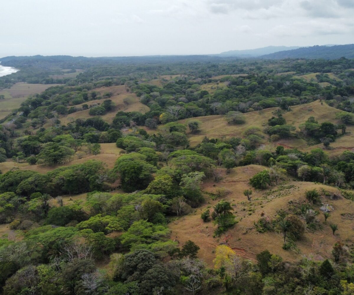 Development LandFarms and Ranches for sale in Esterillos Costa Rica
