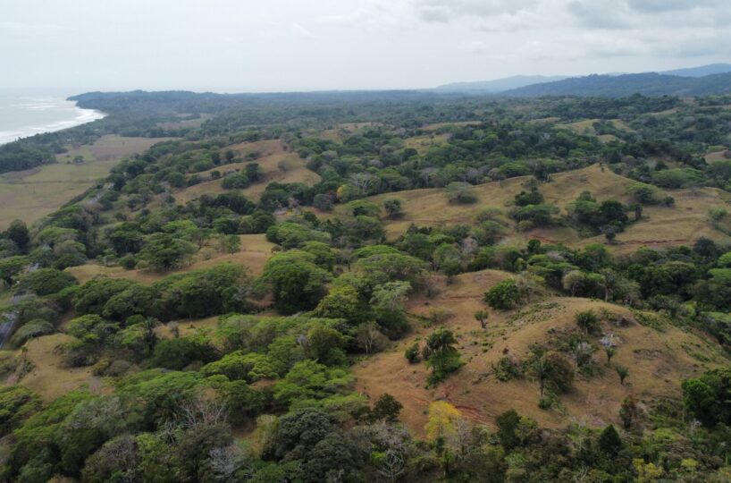 Development LandFarms and Ranches for sale in Esterillos Costa Rica