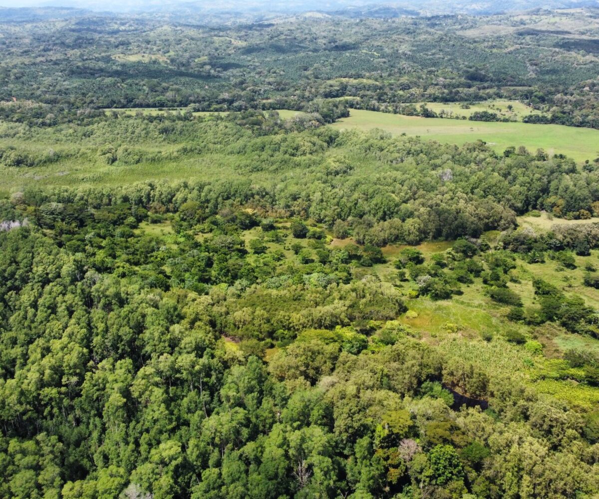 Development Land for sale in BejucoParrita Costa Rica