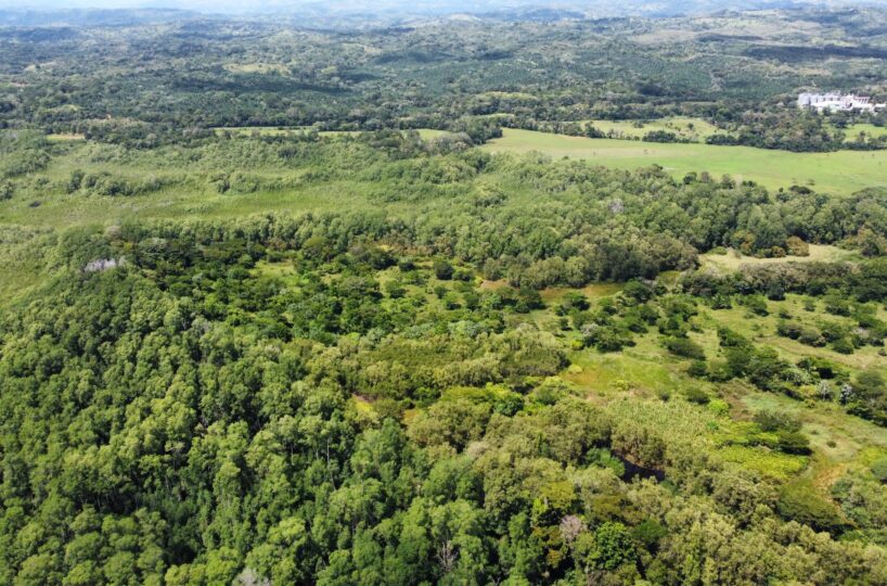 Development Land for sale in BejucoParrita Costa Rica