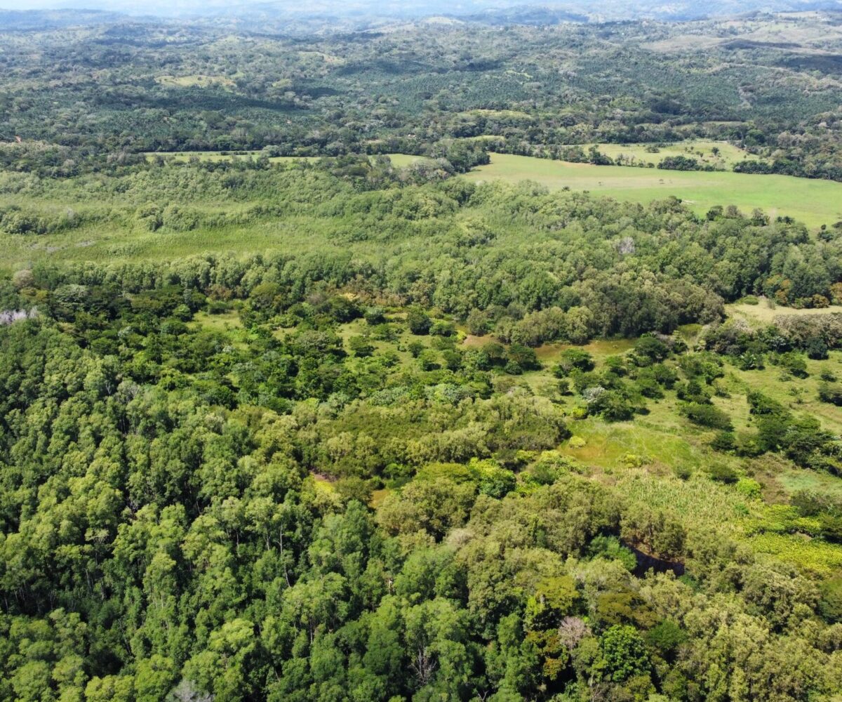 Development Land for sale in BejucoParrita Costa Rica
