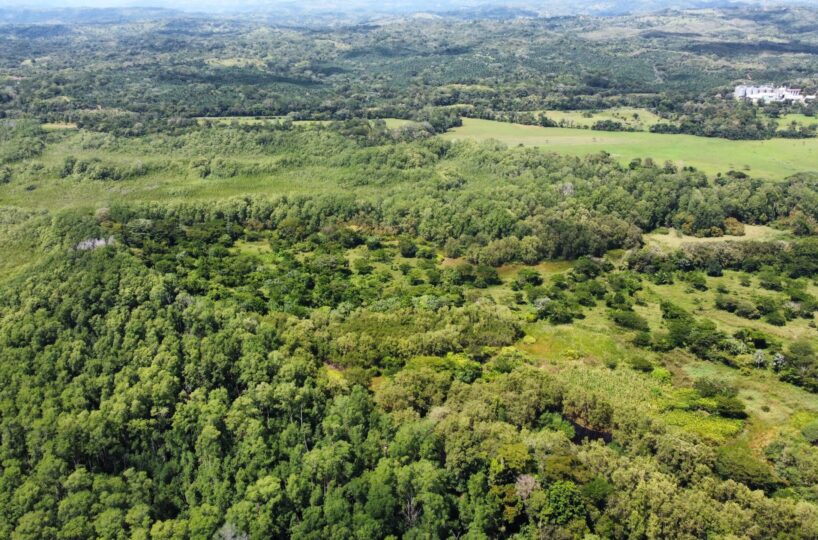 Development Land for sale in BejucoParrita Costa Rica