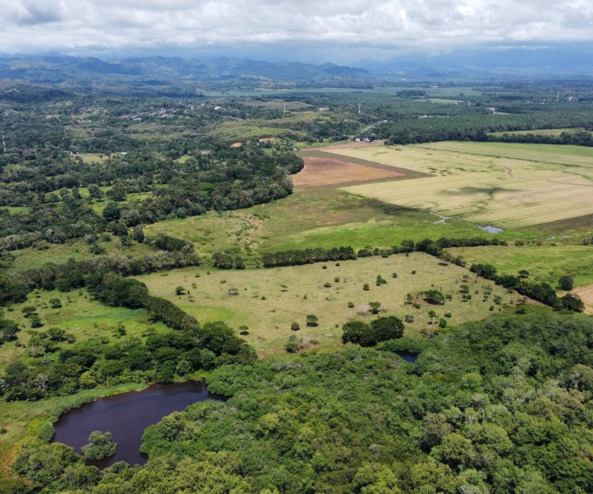 Development Land for sale in BejucoParrita Costa Rica