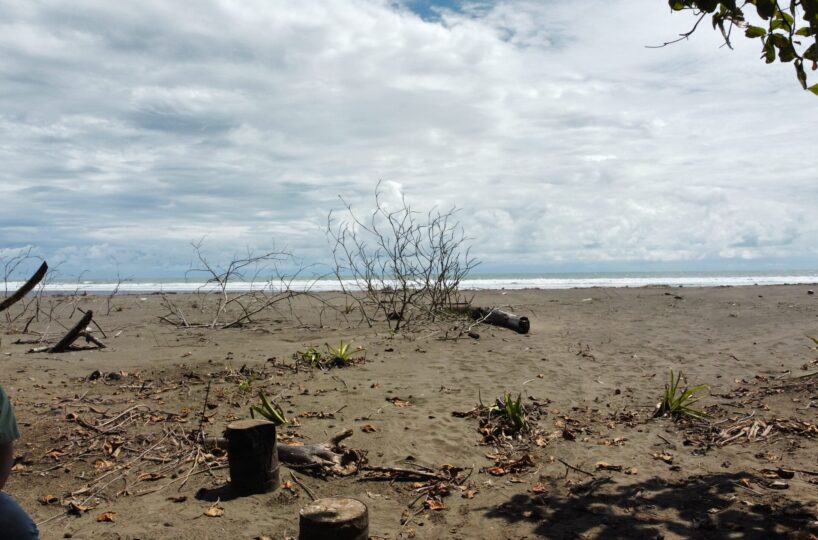 Development Land for sale in BejucoParrita Costa Rica