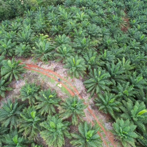 Development LandFarms and Ranches for sale in Parrita Costa Rica