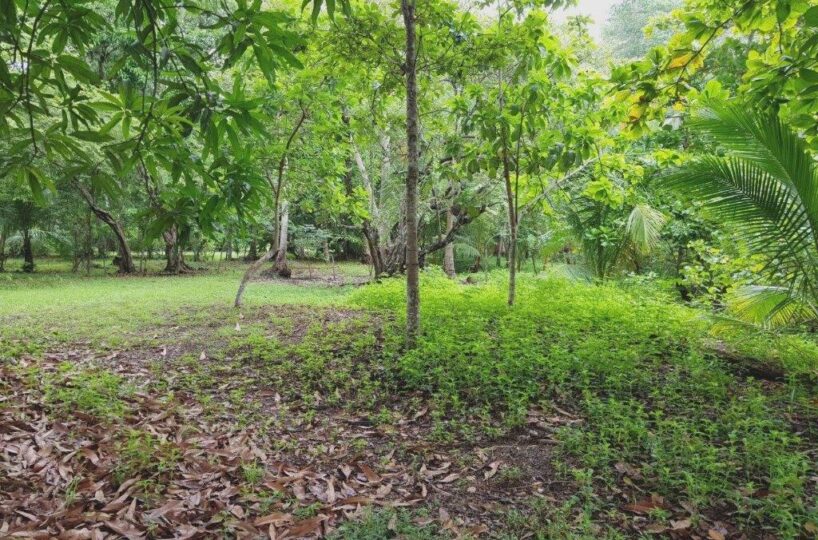 Building Lots for sale in Jaco Beach Costa Rica