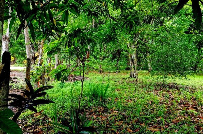 Building Lots for sale in Jaco Beach Costa Rica