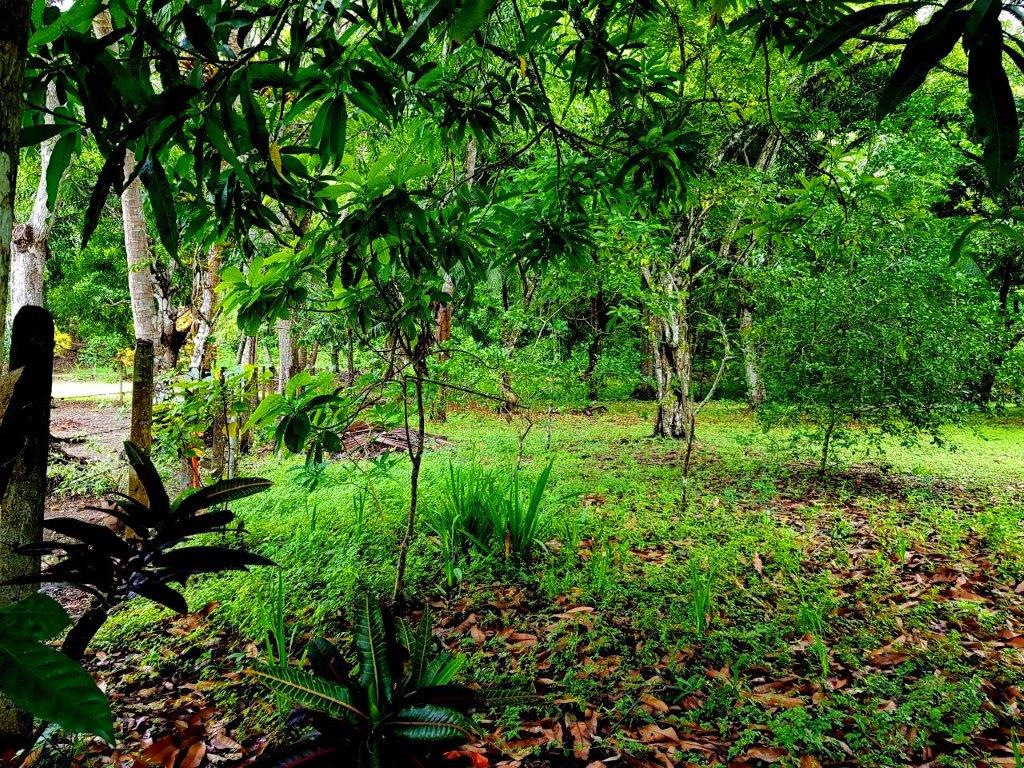 Building Lots for sale in Jaco Beach Costa Rica