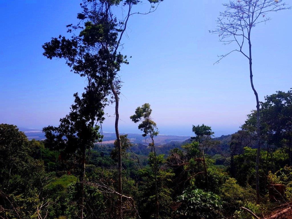 Building Lots for sale in Hermosa Beach Costa Rica