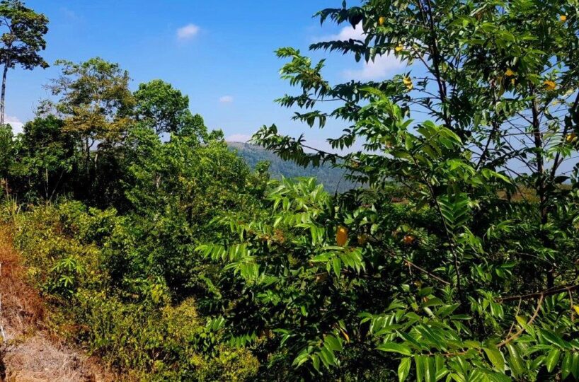 Building Lots for sale in Hermosa Beach Costa Rica