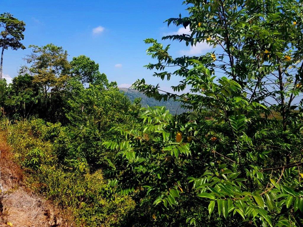 Building Lots for sale in Hermosa Beach Costa Rica