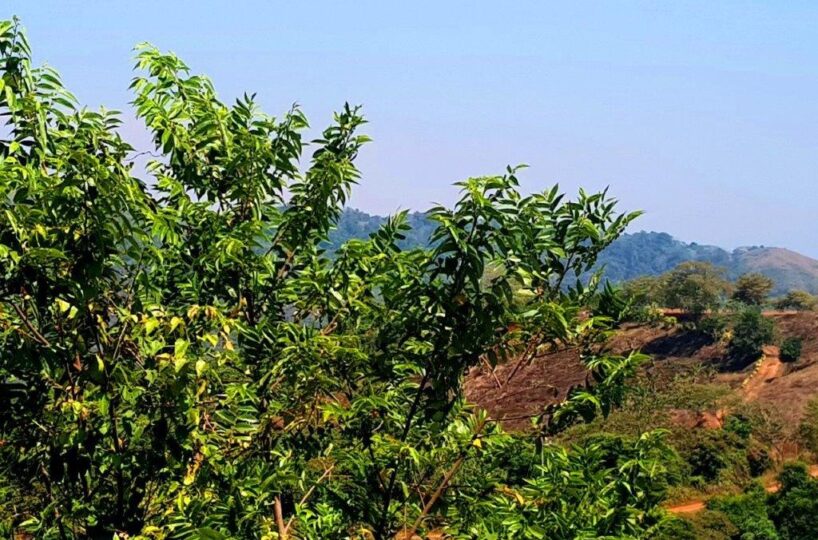 Building Lots for sale in Hermosa Beach Costa Rica