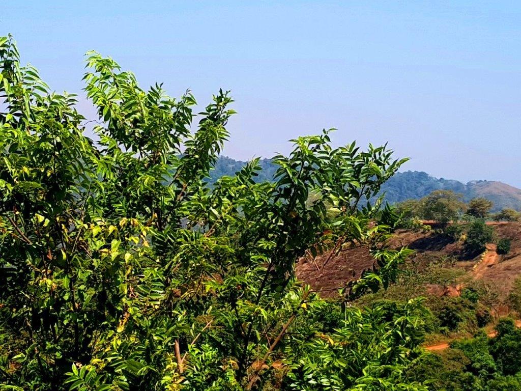 Building Lots for sale in Hermosa Beach Costa Rica