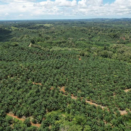 Development LandFarms and Ranches for sale in Parrita Costa Rica