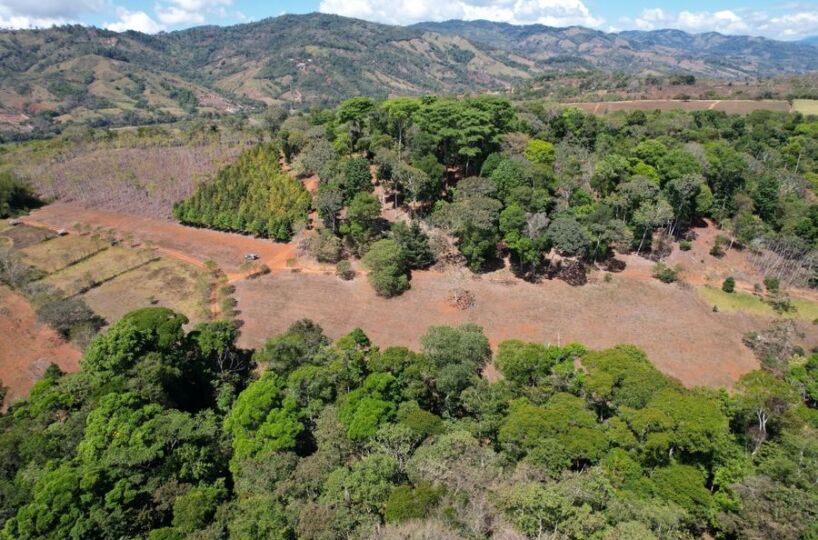 Farms and Ranches for sale in San Isidro-Perez Zeledon Costa Rica
