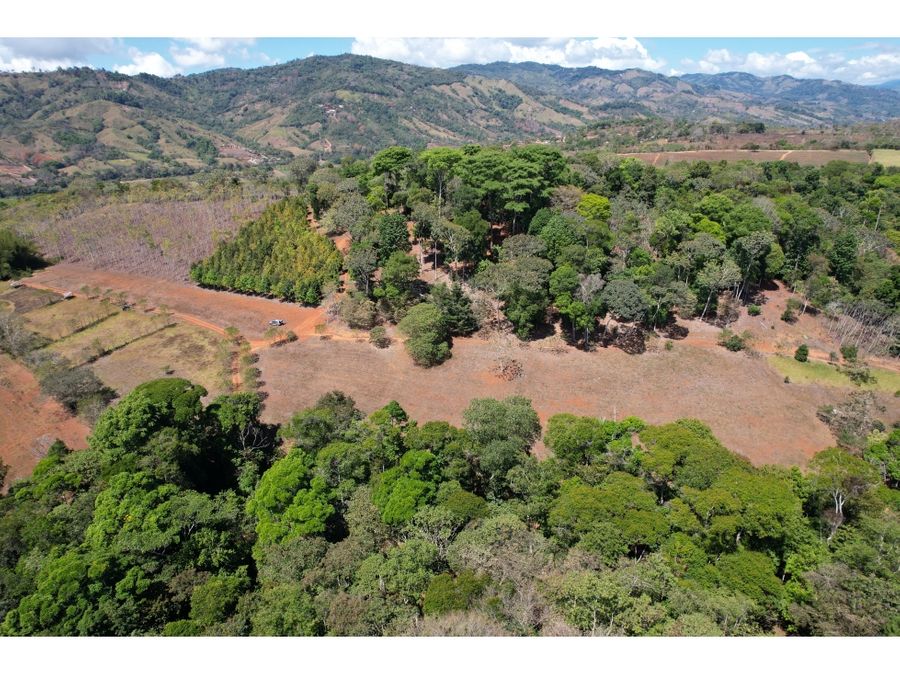 Farms and Ranches for sale in San Isidro-Perez Zeledon Costa Rica