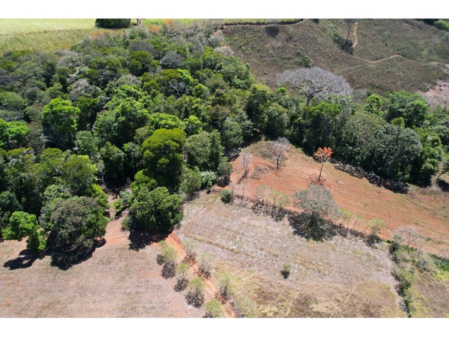 Farms and Ranches for sale in San Isidro-Perez Zeledon Costa Rica