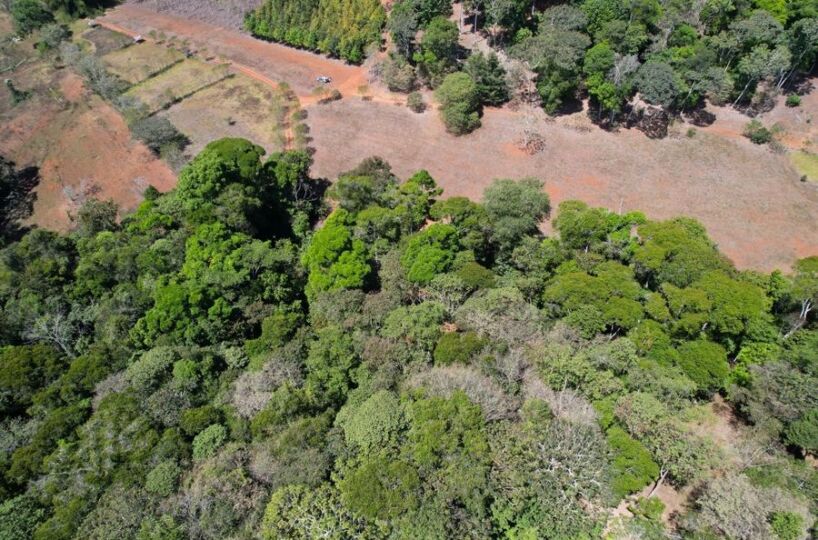 Farms and Ranches for sale in San Isidro-Perez Zeledon Costa Rica