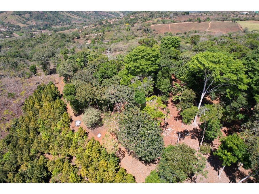 Farms and Ranches for sale in San Isidro-Perez Zeledon Costa Rica