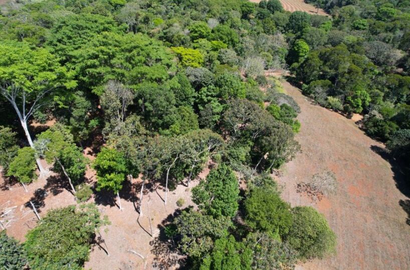 Farms and Ranches for sale in San Isidro-Perez Zeledon Costa Rica