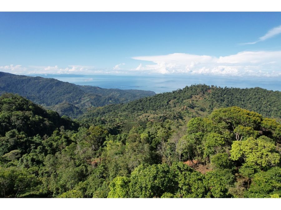 Development Land for sale in Uvita Costa Rica