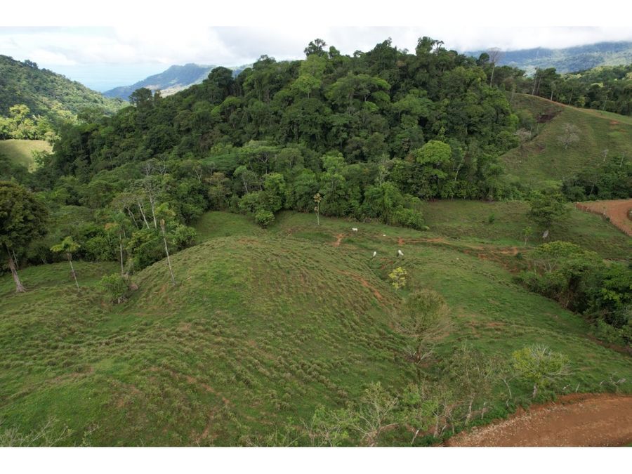 Development Land for sale in Uvita Costa Rica