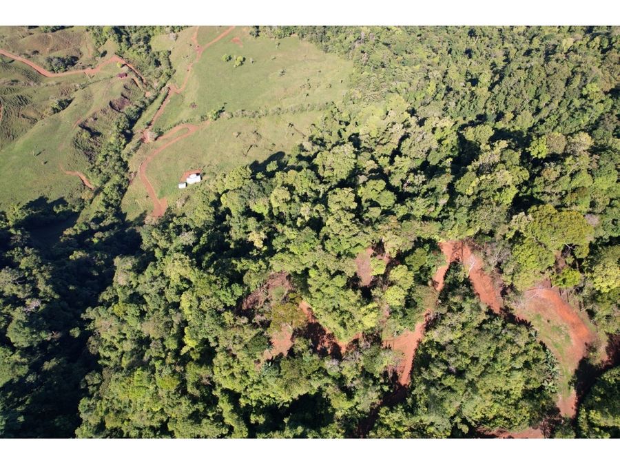 Development Land for sale in Uvita Costa Rica