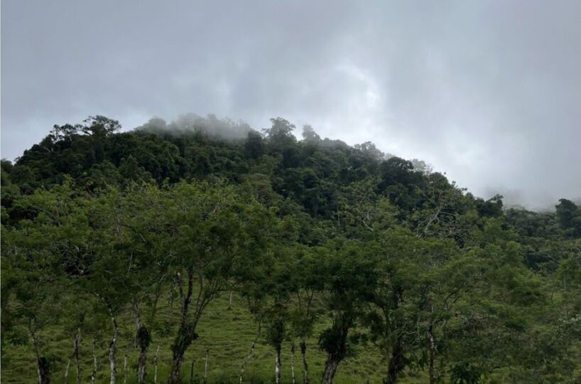 Development Land for sale in Uvita Costa Rica