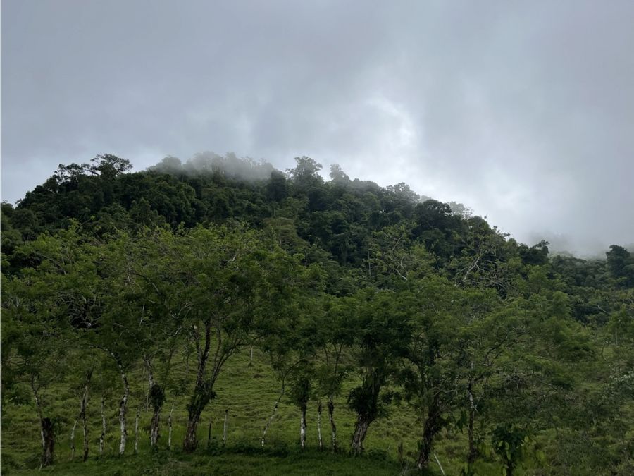 Development Land for sale in Uvita Costa Rica
